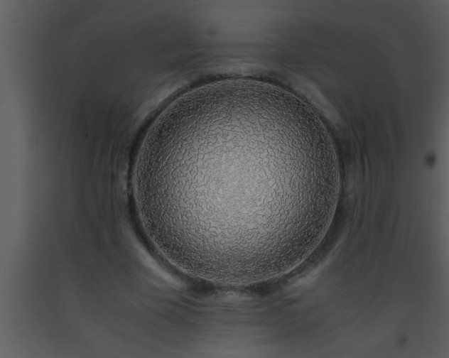 X0000093510585200710191313