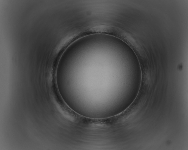 X0000093510586200710191313