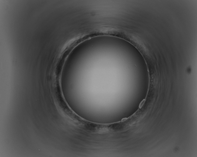 X0000093510587200710191313