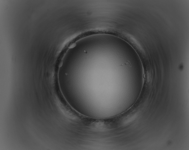 X0000093510588200710191312