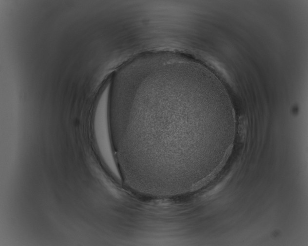 X0000093510589200710191312