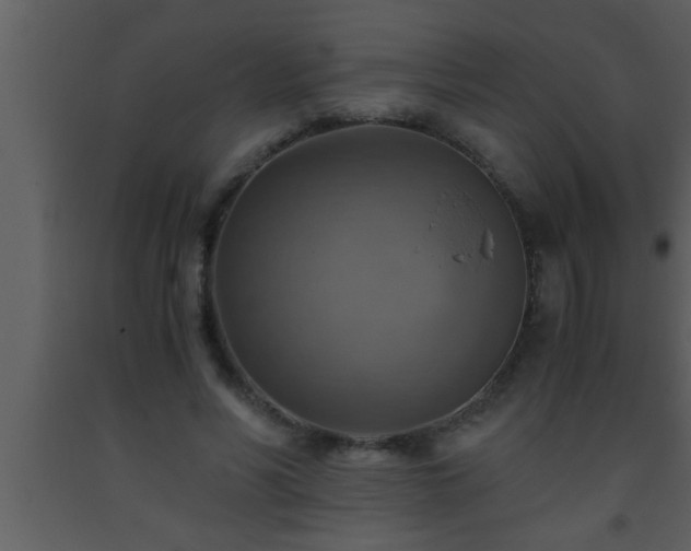 X0000093510590200710191312