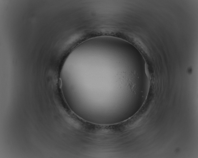 X0000093510593200710191312