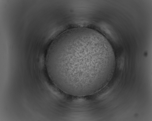 X0000093510594200710191312