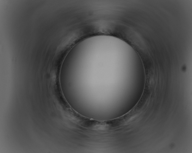 X0000093510595200710191312