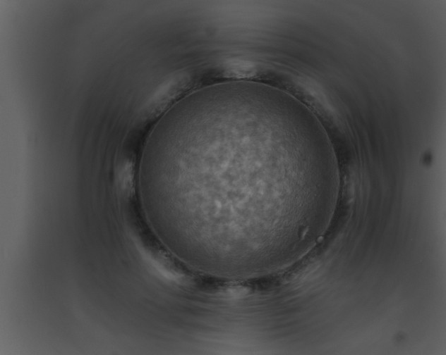 X0000093510598200710191312