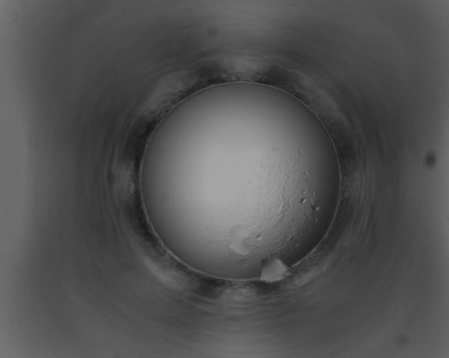 X0000093510599200710191312