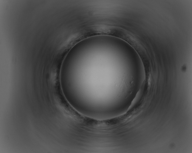 X0000093510600200710191312