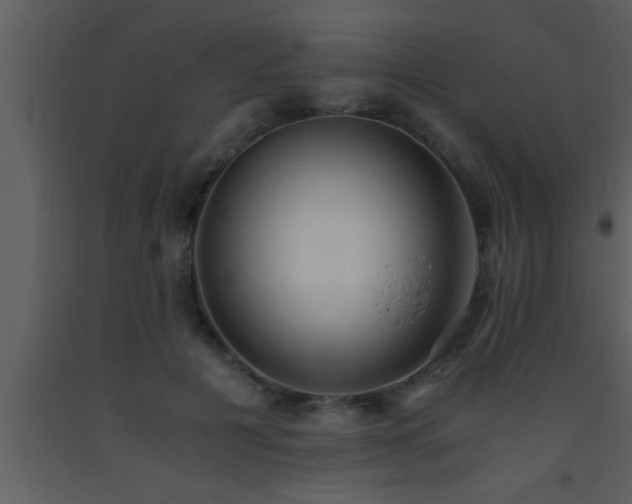 X0000093510601200710191312