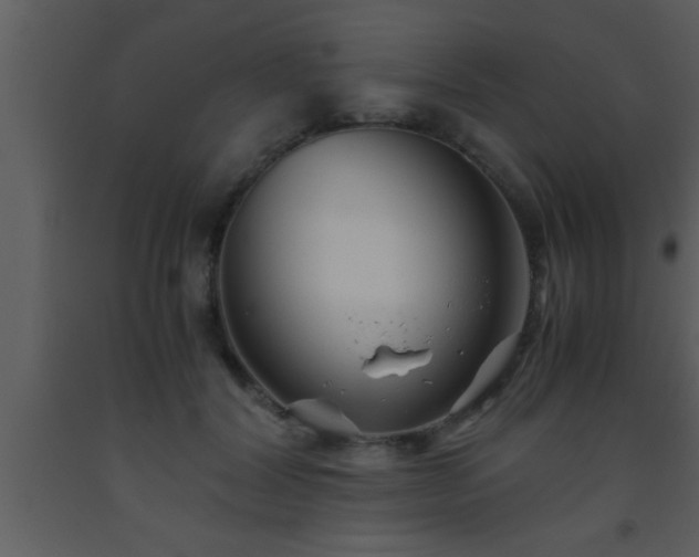 X0000093510604200710191312