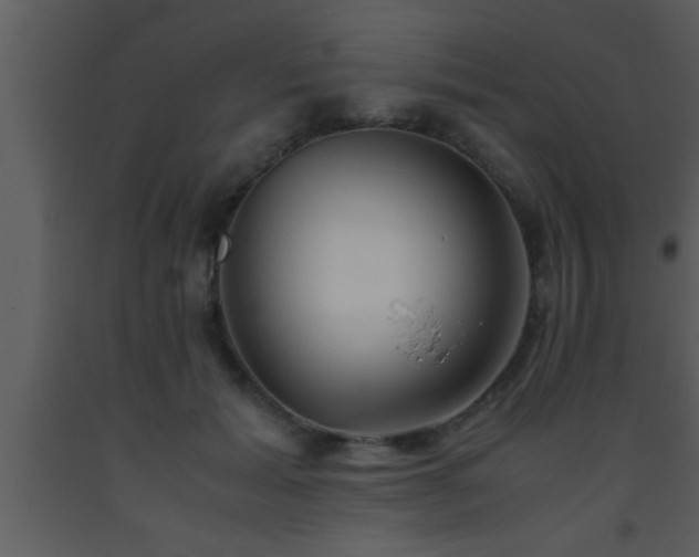 X0000093510605200710191312