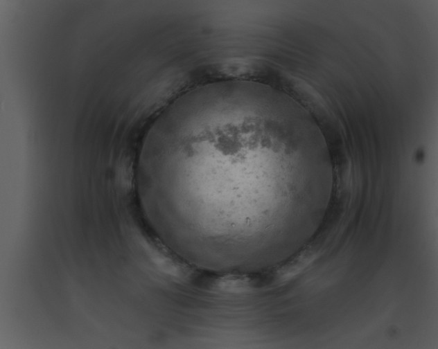 X0000093510606200710191312