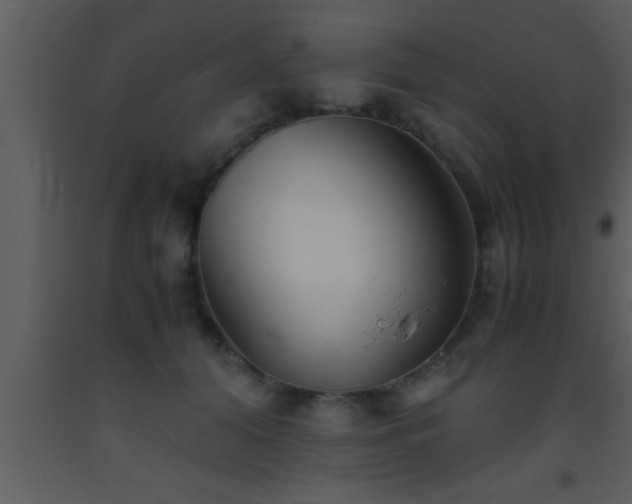 X0000093510608200710191312