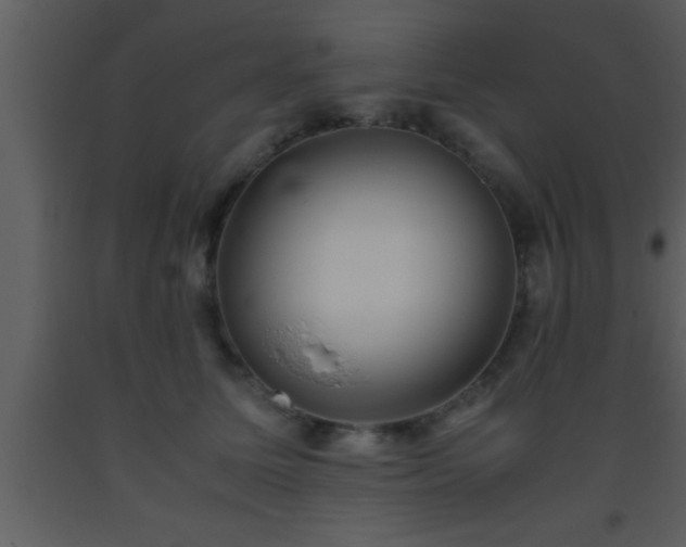 X0000093510611200710191312