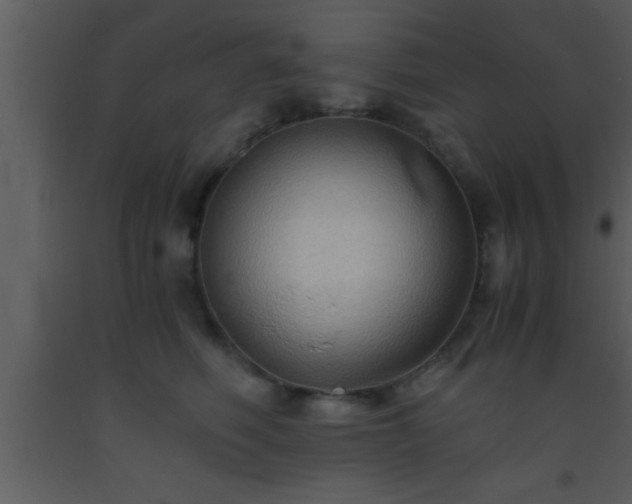 X0000093510614200710191312