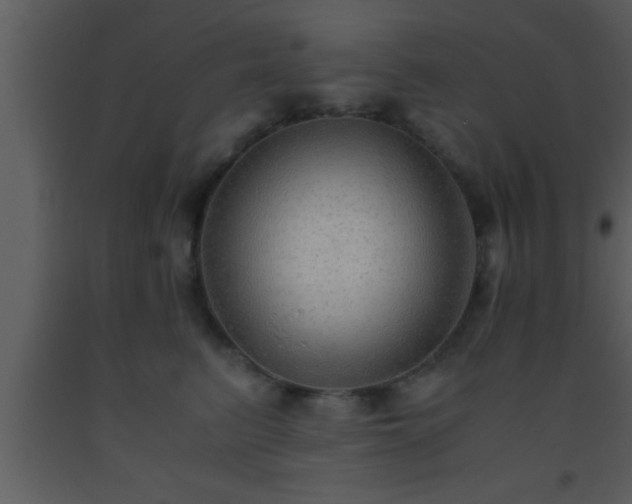 X0000093510615200710191312