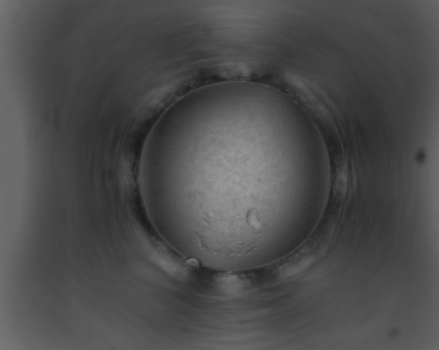 X0000093510616200710191312