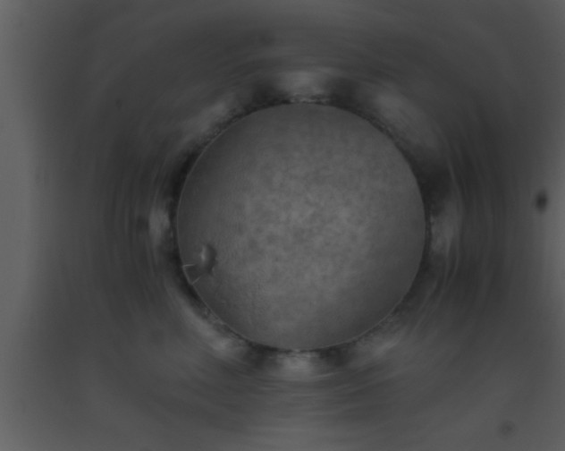 X0000093510618200710191312