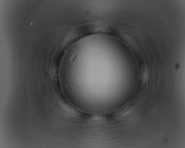 X0000093510619200710191312