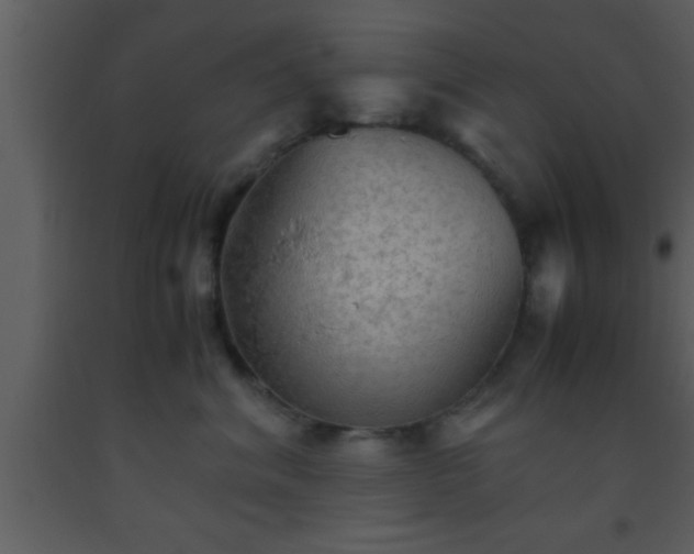 X0000093510620200710191312