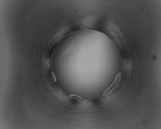 X0000093510621200710191312