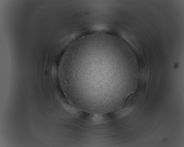 X0000093510623200710191312