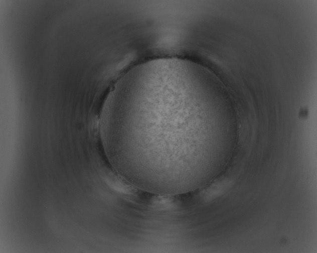 X0000093510624200710191312