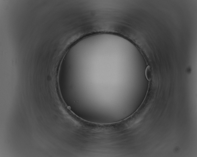 X0000093510625200710191311