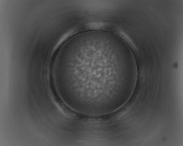 X0000093510626200710191311