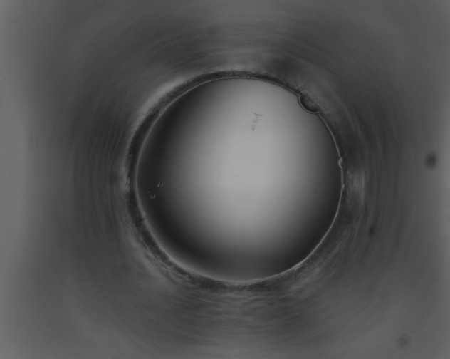 X0000093510628200710191311