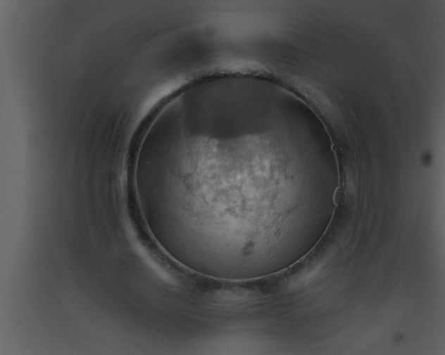 X0000093510630200710191311
