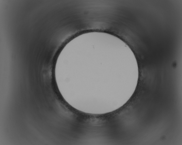 X0000093510632200710191311