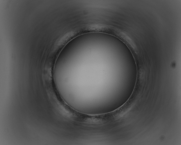 X0000093510633200710191311