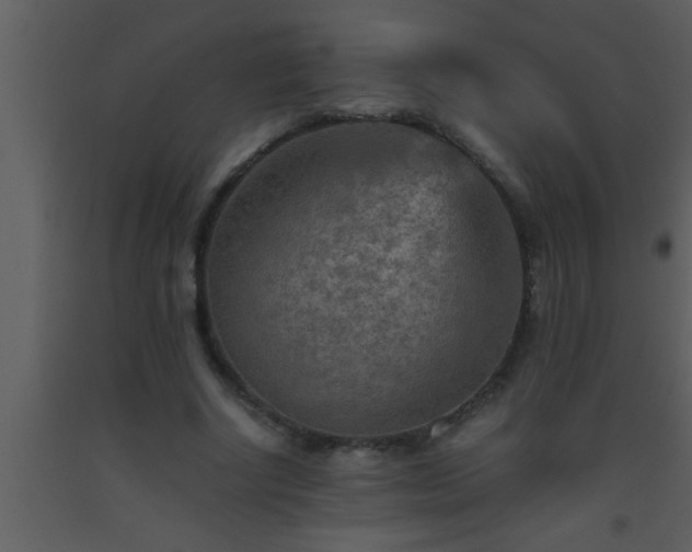 X0000093510634200710191311
