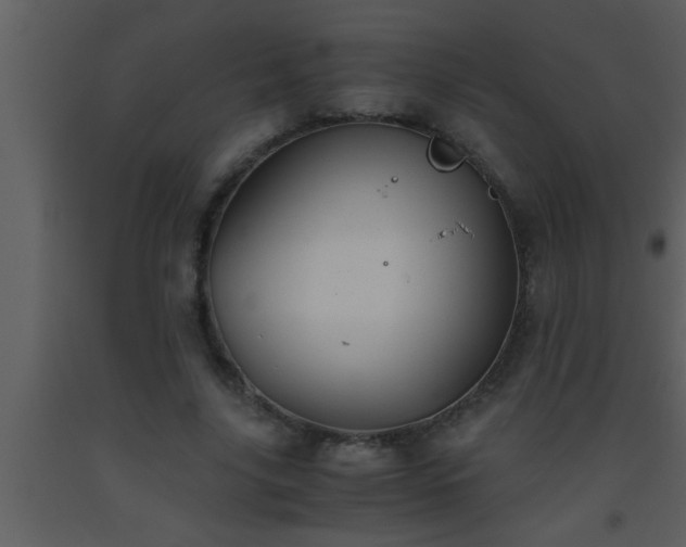 X0000093510635200710191311
