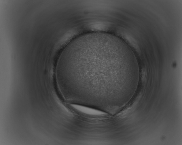 X0000093510637200710191311