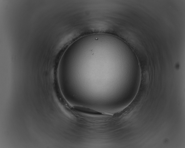 X0000093510638200710191311
