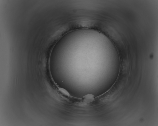 X0000093510639200710191311