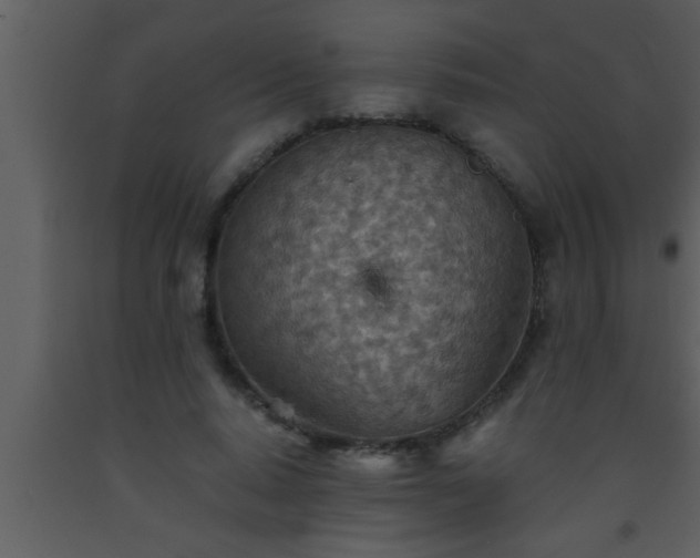 X0000093510640200710191311