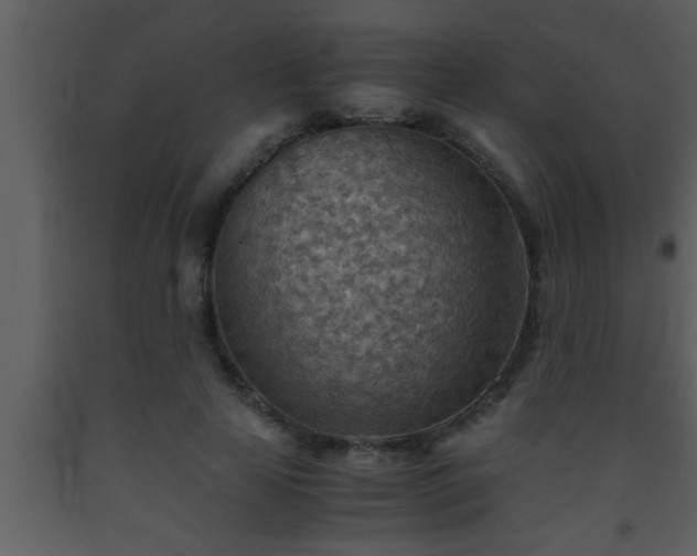 X0000093510641200710191311