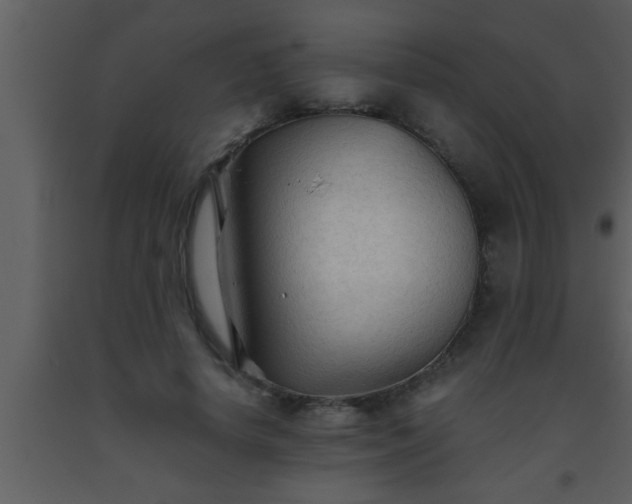 X0000093510642200710191311