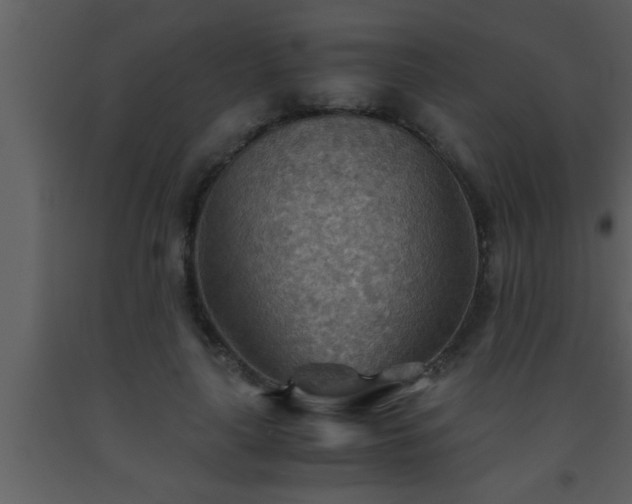 X0000093510643200710191311