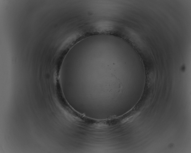 X0000093510644200710191312