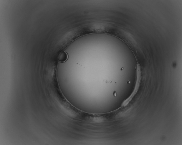 X0000093510645200710191312