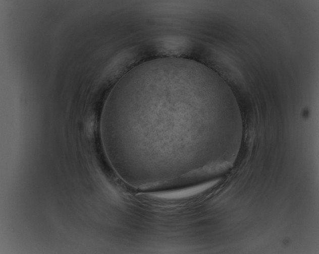 X0000093510647200710191312
