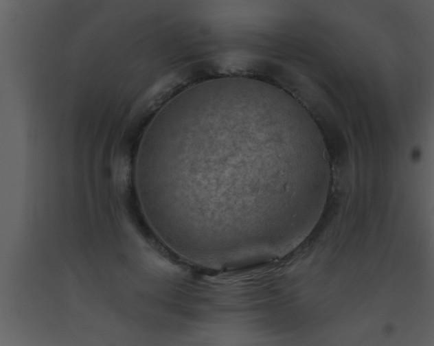 X0000093510648200710191312