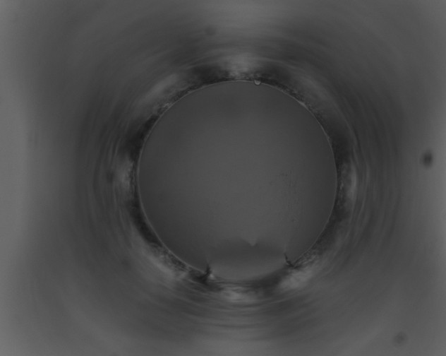 X0000093510650200710191312
