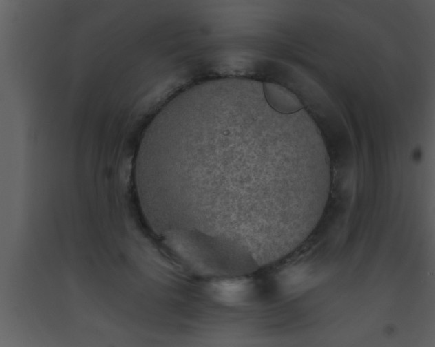 X0000093510652200710191312