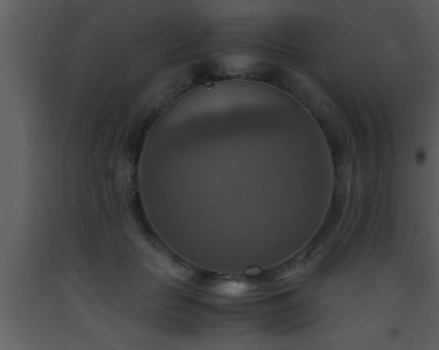 X0000093510653200710191312