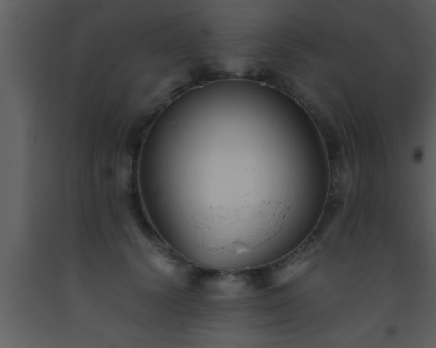 X0000093510656200710191312